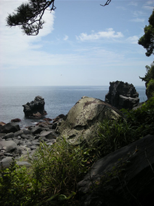 izu_0907_16.jpg