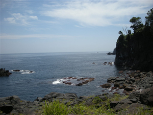 izu_0907_18.jpg